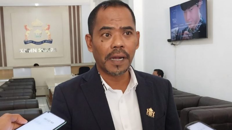 Direktur Eksekutif Kadin Sultra, Budi Amin. (Foto: Istimewa)