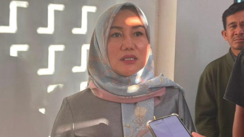 Ketua Komisi III DPRD Sulawesi Tenggara (Sultra), Sulaeha Sanusi. (Foto: Istimewa)